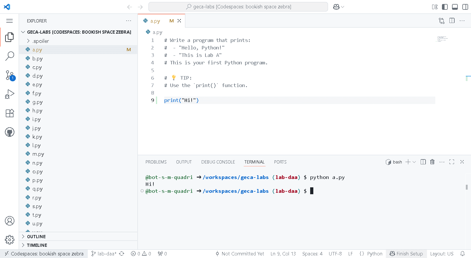 Screenshot of a.py file